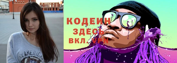 гашик Вяземский